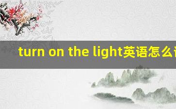 turn on the light英语怎么读